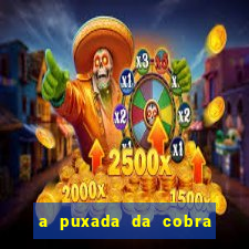 a puxada da cobra no jogo do bicho